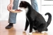 50212 Mush Vaisto Cat vaaleanpunainen Kana-Sika 800 g