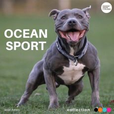 OCEAN SPORT panta musta