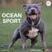 OCEAN SPORT panta musta