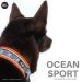 OCEAN SPORT panta oranssi