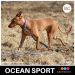 OCEAN SPORT panta fuksia