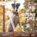 OCEAN SPORT panta oranssi