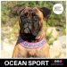 OCEAN SPORT panta fuksia