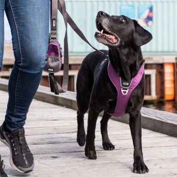 Dog Copenhagen Comfort Walk Pro™ Harness violetti