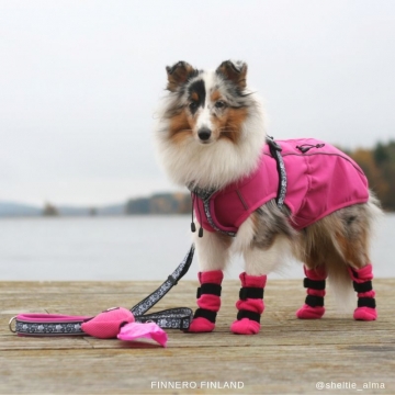Sport Softshell koirantakki pinkki