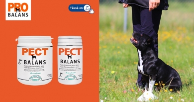 Vitabalans Pect balans 180 g Maitohappobakteeri- ja pektiini