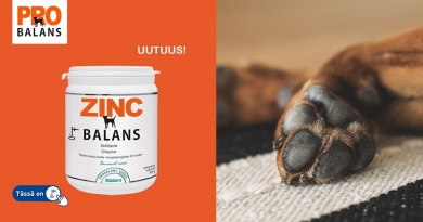 Probalans ZINC - balans 120 g 