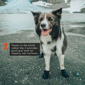 Protector Bootie Non-Stop Dogwear