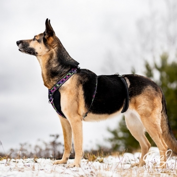 RESCUE VALJAS STOPPARI