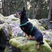 RESCUE valjas vihreä