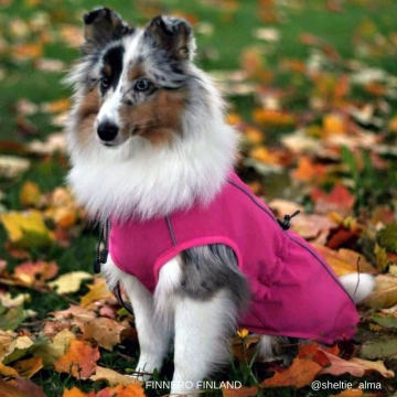 Sport Softshell koirantakki pinkki