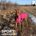 Sport Softshell koirantakki pinkki
