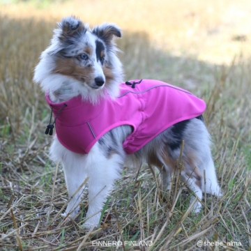 Sport Softshell koirantakki pinkki